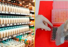 ¡Cuidado! Leche de EE.UU presenta virus de gripe de aviar Foto: Virus en leche provoca pánico en EE.UU /cortesía