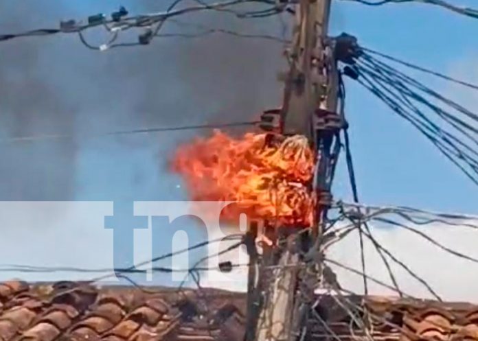 Foto: Alarma por cortocircuito en el mercado de Granada / TN8
