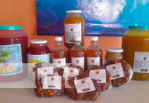 Lanzan en Nandaime alta gama de productos de tamarindo sin químicos Foto: Tamarindo de Nandaime /cortesía