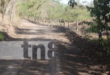 Inauguran 6 kilómetros de camino productivo, Comarca Pijibay en La Libertad, Chontales Foto: Inauguran 6 kilómetros de camino productivo, Comarca Pijibay en La Libertad, Chontales/TN8