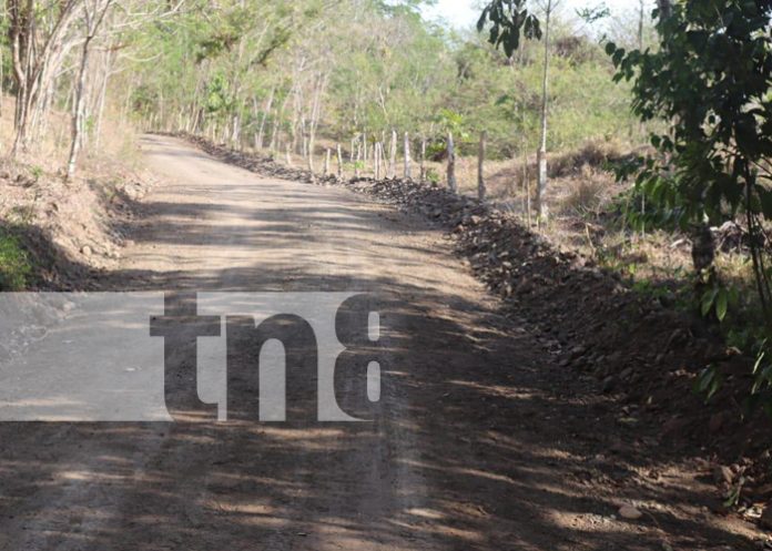 Foto: Inauguran 6 kilómetros de camino productivo, Comarca Pijibay en La Libertad, Chontales/TN8