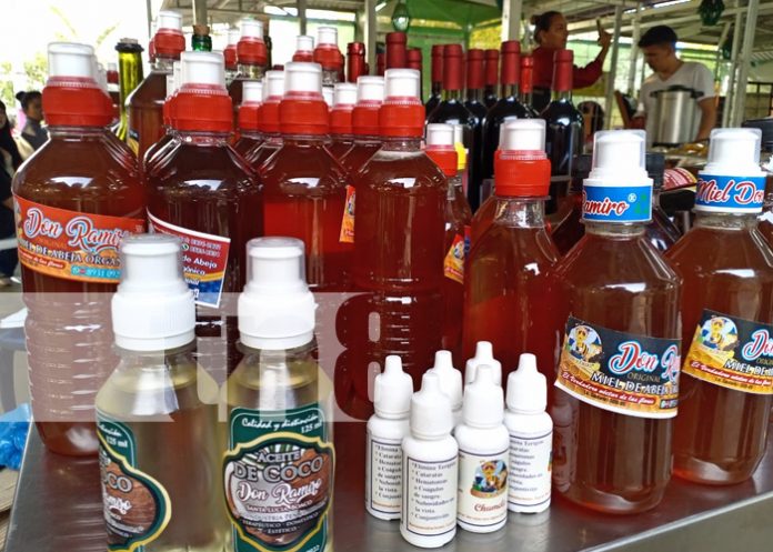 Foto: ¡Parque Nacional de Ferias! Cada fin de semana atrae a muchas familias nicaragüenses/TN8