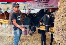 Jinotega tira la casa por la ventana con el inicio de las fiestas de la Santa Cruz Foto: Jinotega tira la casa por la ventana con el inicio de las fiestas de la Santa Cruz/TN8