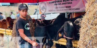 Foto: Jinotega tira la casa por la ventana con el inicio de las fiestas de la Santa Cruz/TN8