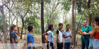 INAFOR organiza charla para niños sobre el cuidado de las plantas