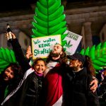 A pesar de la oposición, Alemania autoriza el consumo recreativo de cannabis Alemania legaliza el consumo recreativo de cannabis