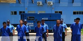 Foto: León seguro: Arrestan a presuntos delincuentes por diferentes delitos / TN8