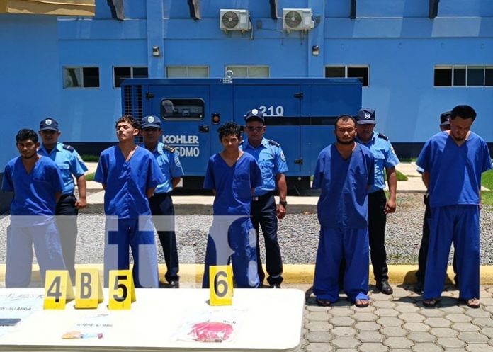 Foto: León seguro: Arrestan a presuntos delincuentes por diferentes delitos / TN8