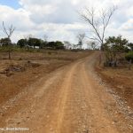 Gobierno entrega vías de acceso en Siuna para mejorar la vida de productores Foto: Gobierno entrega vías de acceso en Siuna para mejorar la vida de productores/Cortesía