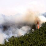 Foto: Desastre ambiental en Guatemala /cortesía