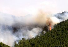 Foto: Desastre ambiental en Guatemala /cortesía