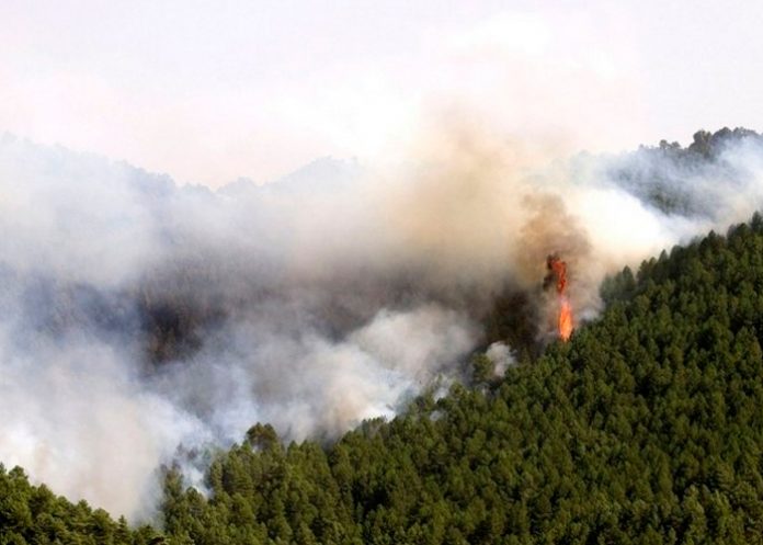 Foto: Desastre ambiental en Guatemala /cortesía
