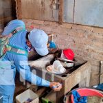 Brigadas de salud abatizan para eliminar el zancudo