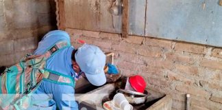 Brigadas de salud abatizan para eliminar el zancudo