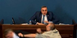 Diputados de Georgia se van a los "golpes"