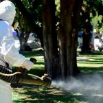 Argentina eleva a más de 252.000 casos de dengue hasta la fecha Foto: Dengue en Argentina /cortesía