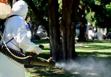 Foto: Dengue en Argentina /cortesía