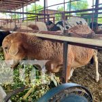 INTA, pionero en la organización de un Foro Nacional