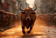 Se opuso a su destino: Toro escapa del matadero y ataca a los trabajadores Toro escapó de un matadero y ataca a los trabajadores