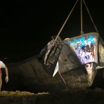 Encuentran en Brasil cuerpos de migrantes africanos en barca la deriva Foto: Tragedia en Brasil /cortesía