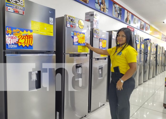 3 Foto: ¡Qué esperas para ir al Gallo más Gallo de Plaza Inter, a buscar un regalo para mamá!/TN8