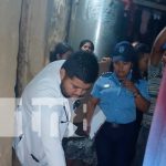 Hombre muere tras haber quedado prensado entre las ramas de un árbol fOTO: Hombre muere tras haber quedado prensado entre las ramas de un árbol / TN8