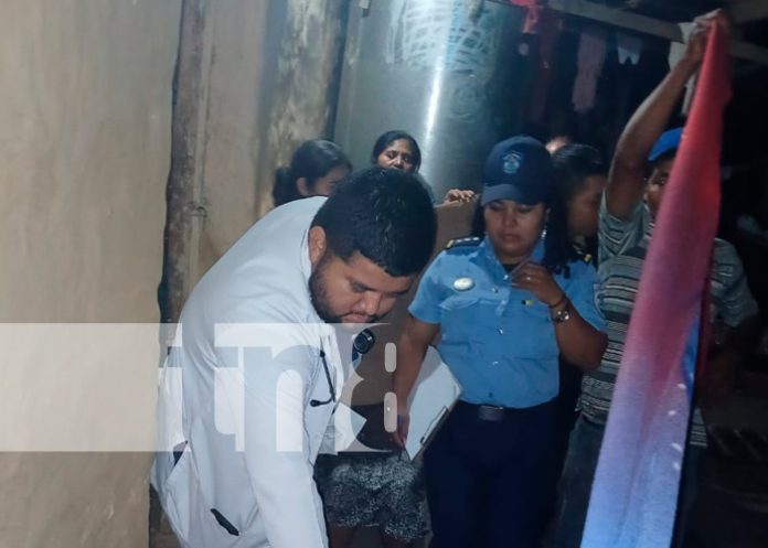 fOTO: Hombre muere tras haber quedado prensado entre las ramas de un árbol / TN8