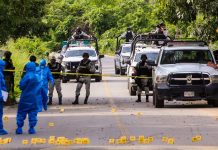 Al menos ocho muertos en operativo policial en México