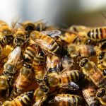 Niña advirtió sobre la presencia de “monstruos” en su habitación, «era algo peor» Advirtió sobre la presencia de “monstruos” en su cuarto