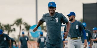 duque, hebbert, milb,