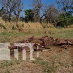 Se le roban las bestias a los cocheros de Masaya