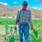 Estrategia productiva en Madriz genera buenos resultados en la cosecha de verano Bono de riego con buenos resultados en Yalagüina, Madriz