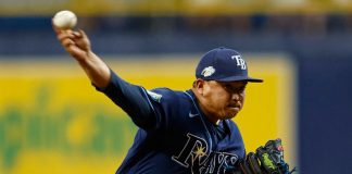 tampa, bay, rays, grandes, ligas,