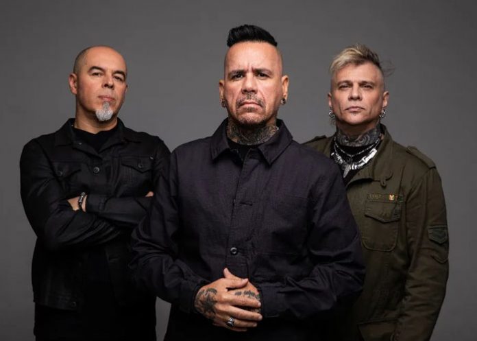 animal-2 Foto: A.N.I.M.A.L. pronto llegará a Nicaragua