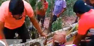 Foto: Espantoso crimen en las montañas de Bosawás / TN8