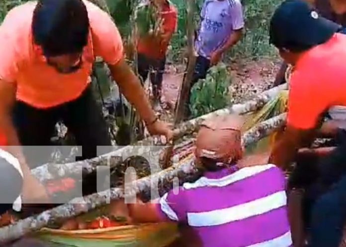 bosa-12 Foto: Espantoso crimen en las montañas de Bosawás / TN8