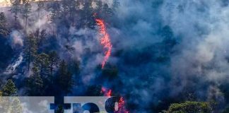 Foto: Control de incendio forestal en La Coquimba, Nueva Segovia / TN8