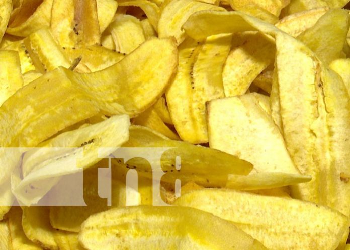 Foto: Frituras Gaby, negocio próspero de Managua / TN8