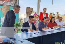 Chuxiong, ciudad de China, une lazos culturales y de hermandad con Granada Foto: Chuxiong, ciudad de China, une lazos con Granada / TN8