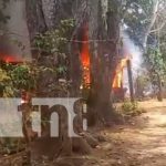 Humilde hogar queda en cenizas tras incendio en Ticuantepe Foto: Incendio en una humilde vivienda de Ticuantepe / TN8