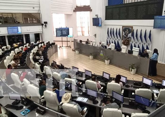Foto: Sesión parlamentaria en la Asamblea Nacional de Nicaragua / TN8