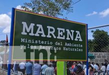 MARENA destaca avances en la conservación y regeneración de los bosques de Nicaragua Foto: Nueva delegación del MARENA en Carazo / TN8