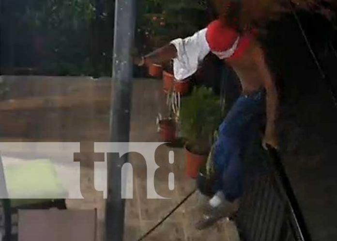 Foto: Ladrón hizo de las suyas en Masaya / TN8