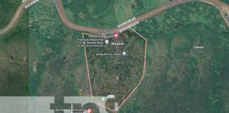Decapitan a presunto brujo en una comunidad de Río Coco-Waspán