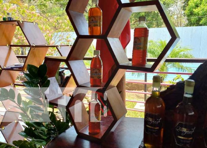 medim-11 Foto: Lanzan en Nicaragua primer catálogo de productos sostenibles / TN8