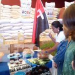 Segunda distribución de la merienda escolar beneficiará a 1 millón 200 mil niños de Nicaragua Foto: Merienda escolar, segunda distribución de 2024 / TN8