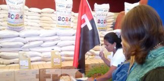 Foto: Merienda escolar, segunda distribución de 2024 / TN8