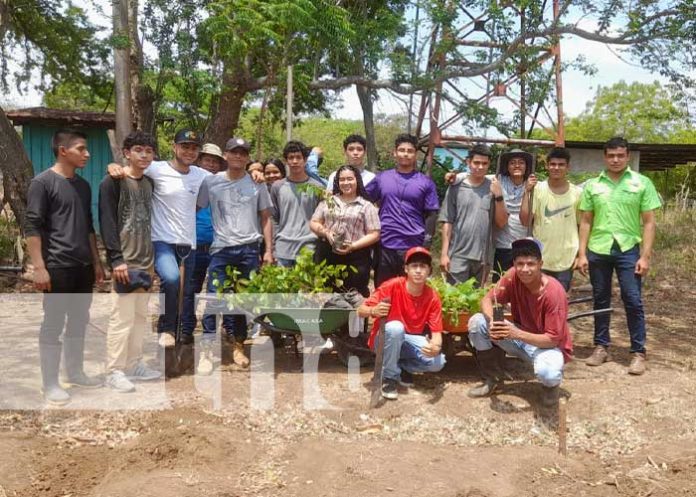 Foto: Reforestación con el Tecnológico Agropecuario de Nandaime / TN8