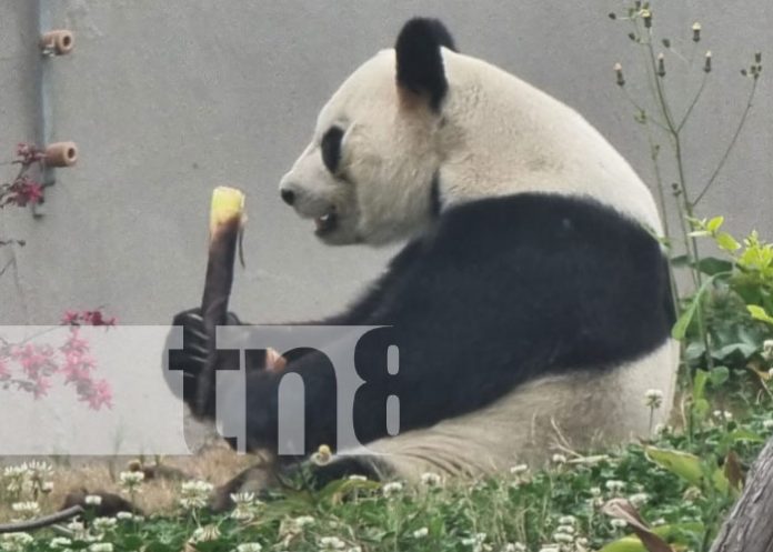 sich-55 Foto: Sichuan, un lugar turístico por excelencia en China / TN8