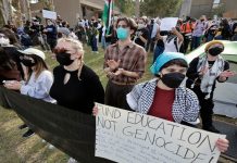 Más universidades de EE.UU. se alzan en apoyo a Palestina Foto: Universidades exigen acción por Palestina /cortesía